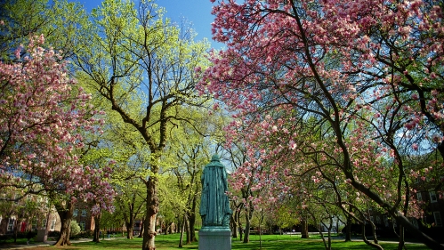 Campus in bloom