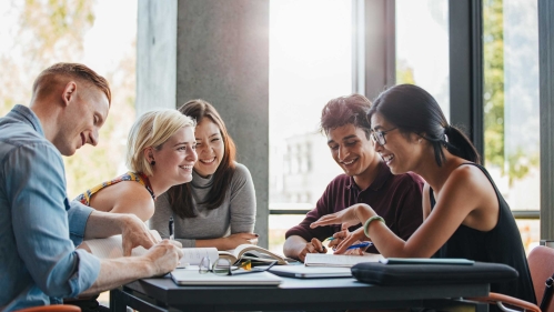 Student group studying