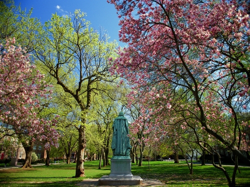 Campus in Spring