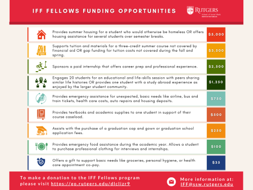 chart showing iff fellows funding opportunities